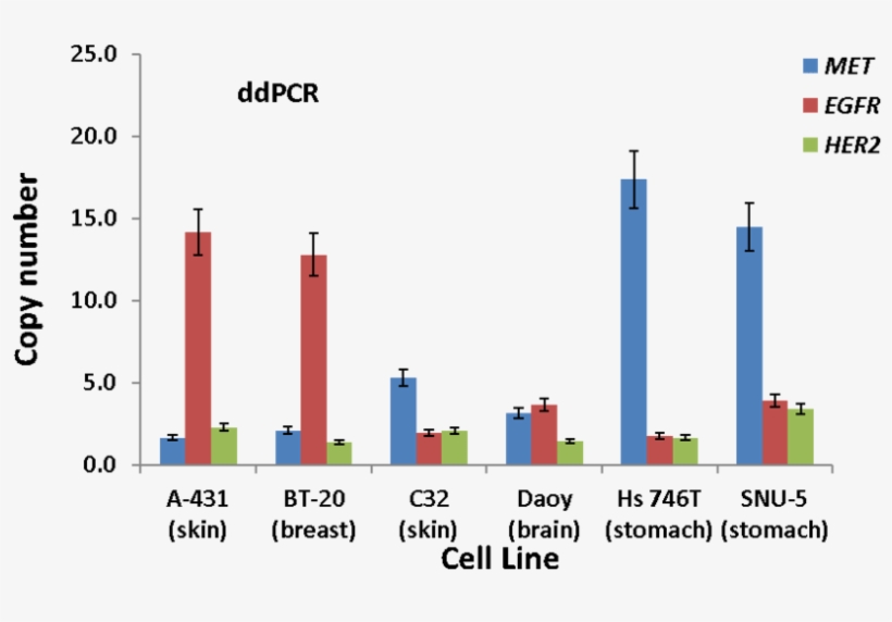 Illustration Of The Gene Copy Numbers For Met, Egfr, - Cancer Biomarker, transparent png #3329690