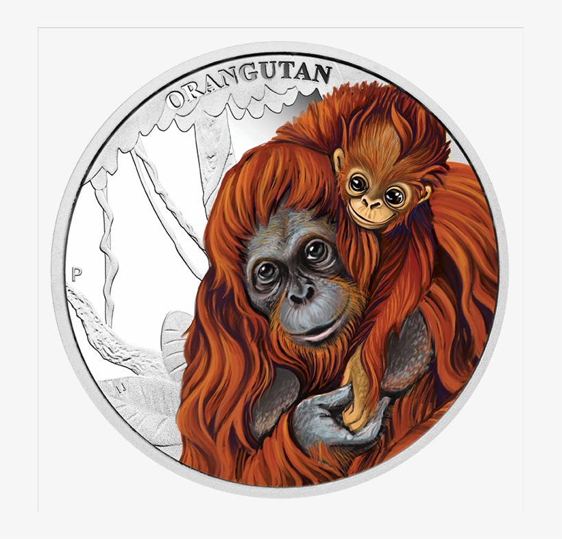 Enlarge - Silver Coin, transparent png #3329701