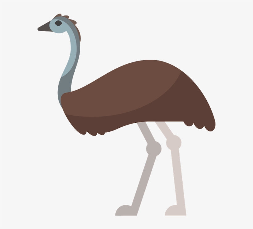 Emu Vector, transparent png #3329823
