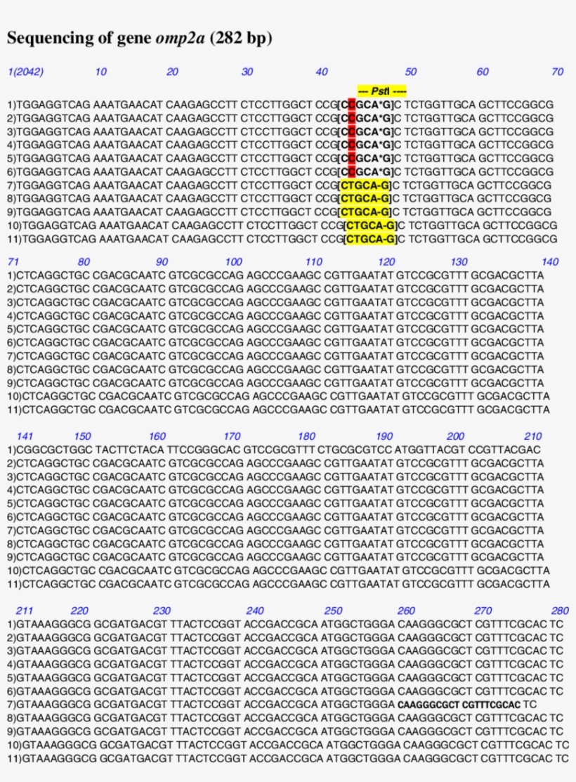 Nucleotide Sequence Of Omp2a Gene - Gene, transparent png #3329899