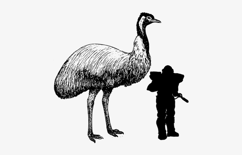 Superemu - Australian Animal Word Find, transparent png #3329929