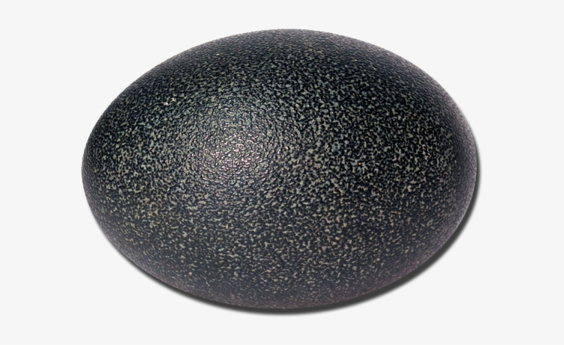 Authentic Emu Egg - Cosmetics, transparent png #3330013