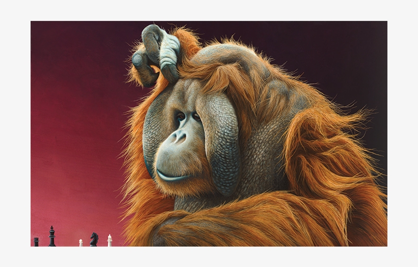 Grand Master - Grand Master By Paul James, transparent png #3330221