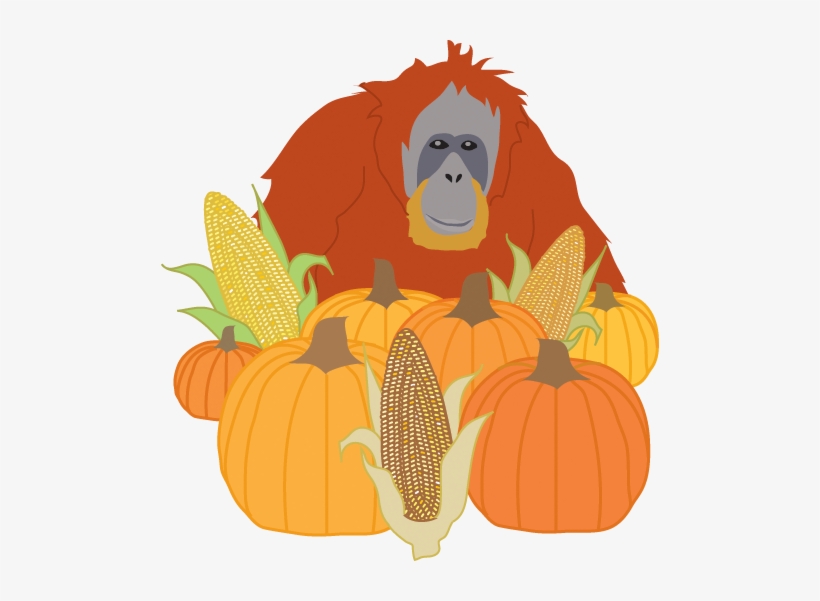 Artist In Residence - Orangutan, transparent png #3330485