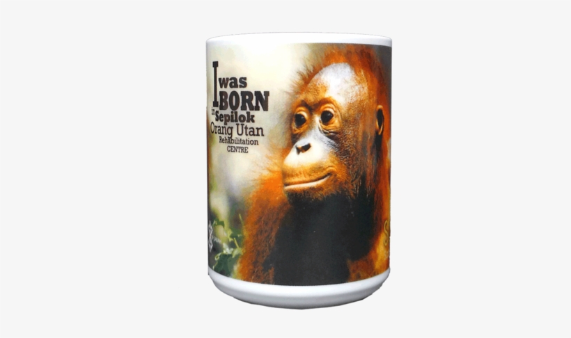 Dishwasher Safe & Microwave Safe - Orangutan, transparent png #3330643