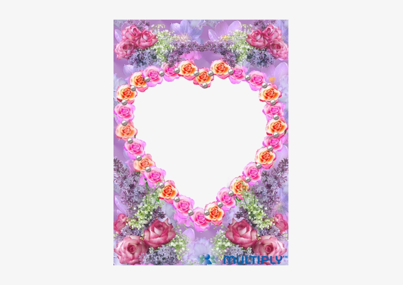 02 Sep 2010 - Garden Roses, transparent png #3331318