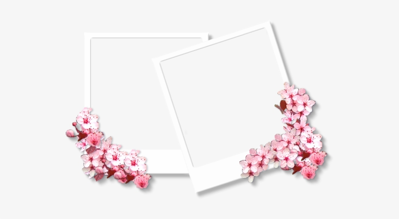 Veja Também Mais Molduras Pngs - Sakura Frame, transparent png #3331435