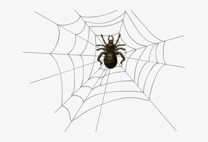Drawn Spider Web Trippy - Spider Web, transparent png #3331502