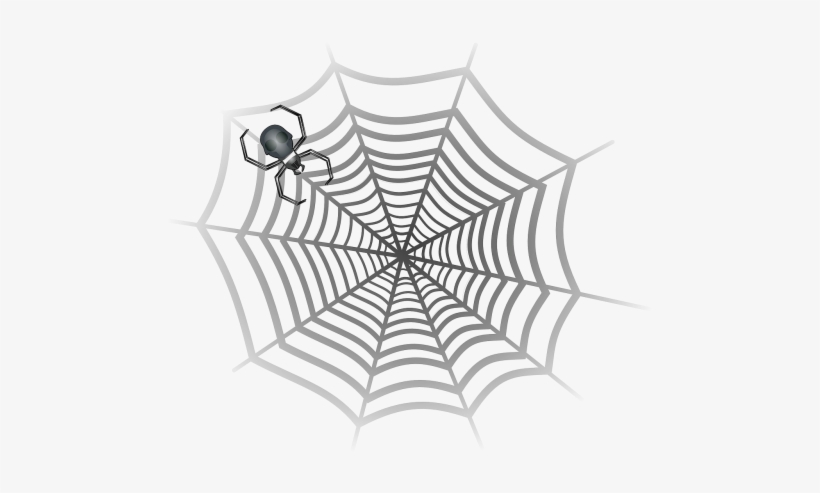 Spider,cobweb,spider Web,spider's Web,web,horror,fright, - Gray Spider In Web, transparent png #3331682