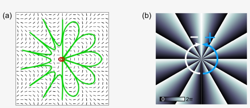 Vectorial Hybrid Structure Of Flower And Spider Web - Graphic Design, transparent png #3331762