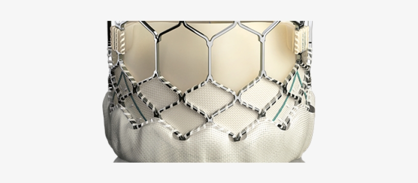 Thumbnail - Sapien 3 23 Mm, transparent png #3332949