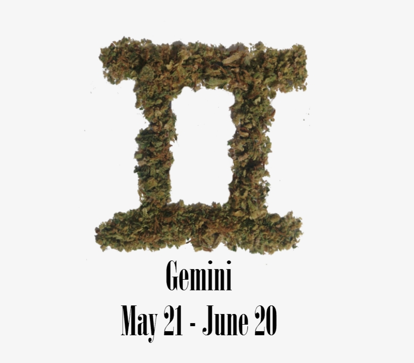 Stoner Gemini Monthly Horoscope - Cannabis, transparent png #3333921