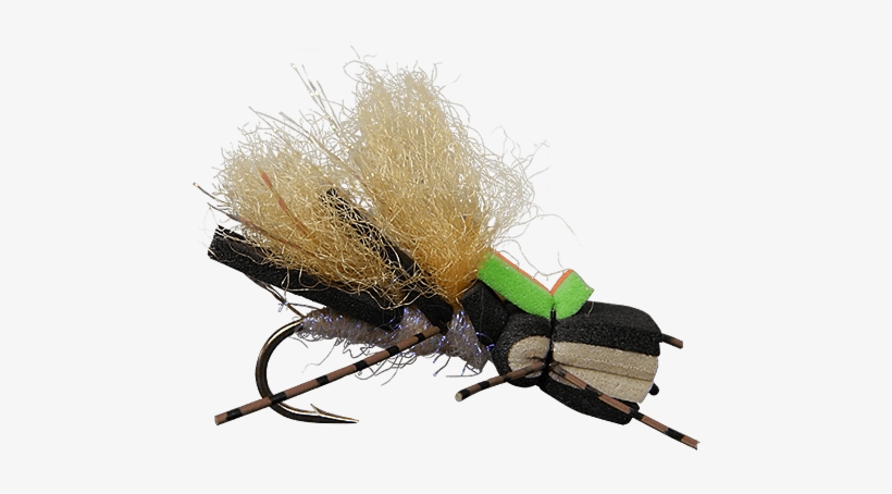 Insect, transparent png #3333981