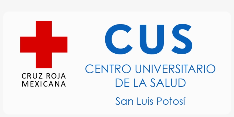 Regreso A Clases - University Hospital Of Giessen And Marburg, transparent png #3334171