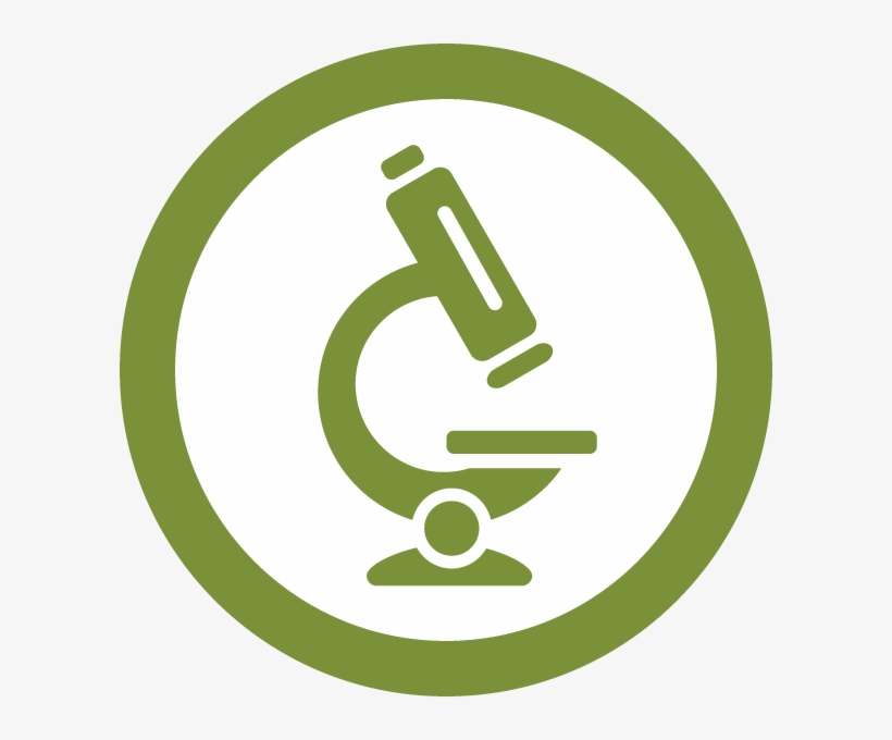 Recent Media - Laboratoire Analyses Médicales, transparent png #3335790