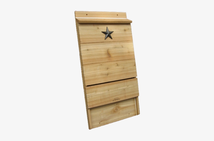 Limited Edition - Bat, transparent png #3336137