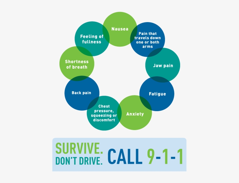 What Are The Early Signs And Symptoms Early Heart Attack - T Be Such A Scientist, transparent png #3336334