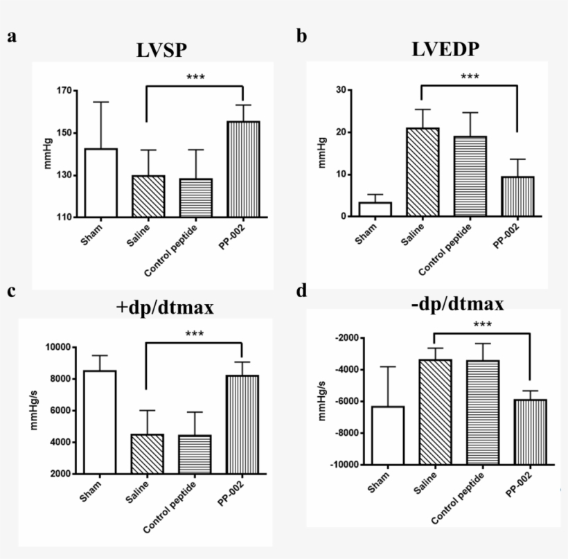 Post Treatment With Pp 002 Effectively Restored Heart - Myocardial Infarction, transparent png #3336377