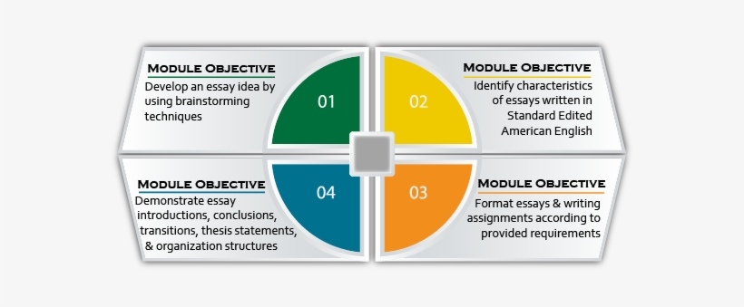 Develop An Essay Idea By Using Brainstorming Techniques - Essay, transparent png #3338081