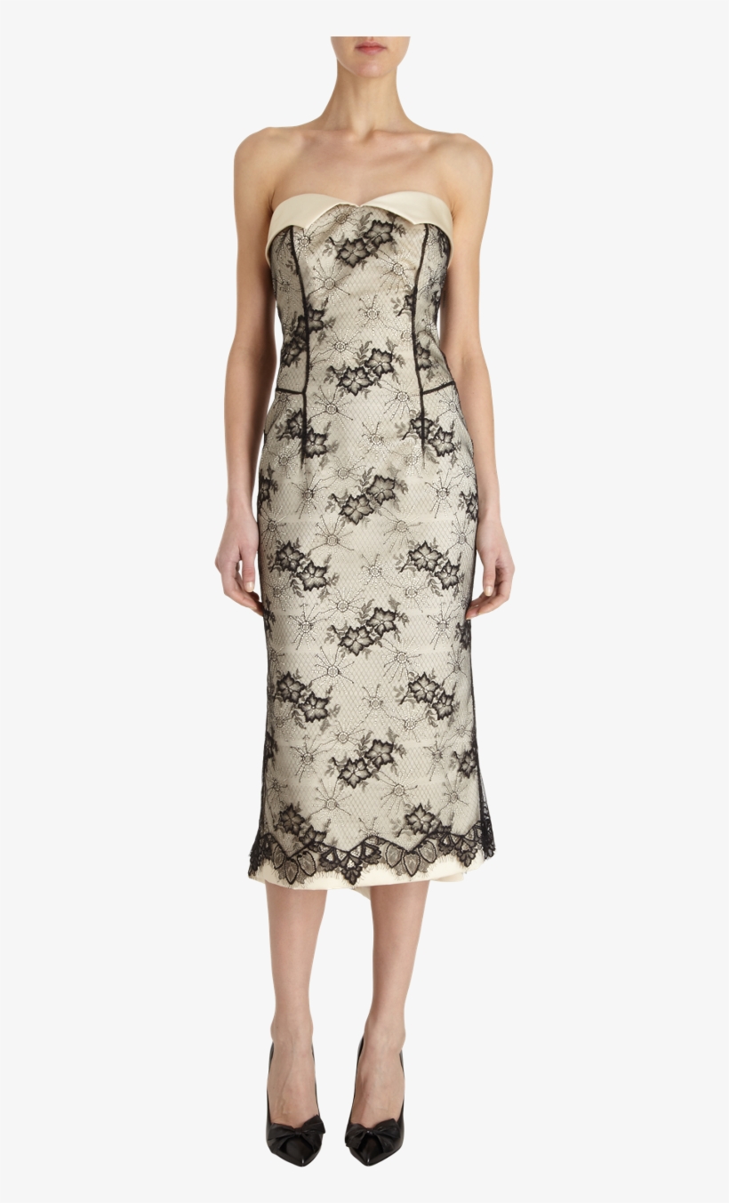 L'wren Scott Lace Overlay Strapless Dress - Sales, transparent png #3338132