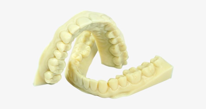 Daylight Precision High Tensile Teeth - 3d Printing, transparent png #3338869