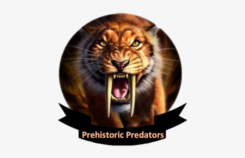 Please Of Please Word - Sabre Tooth Tiger Drawing, transparent png #3339568