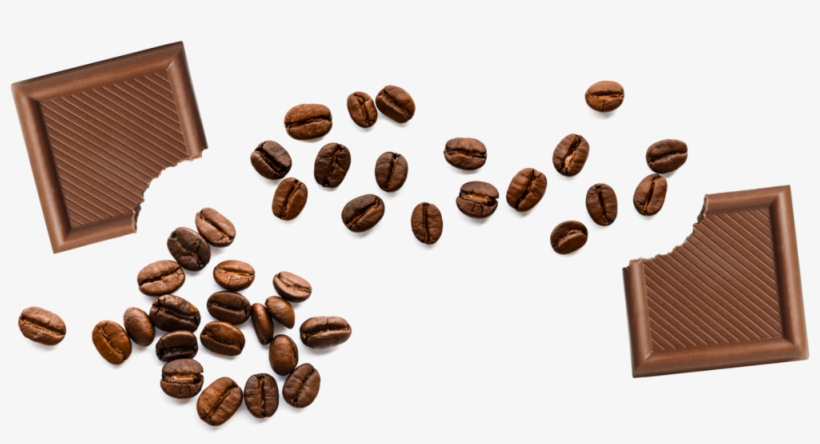 Thinsanbeans - Coffee Beans Dropping Png, transparent png #3339725