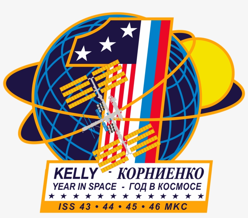 The One Year Crew Mission Patch - Nasa One Year Mission, transparent png #3340724