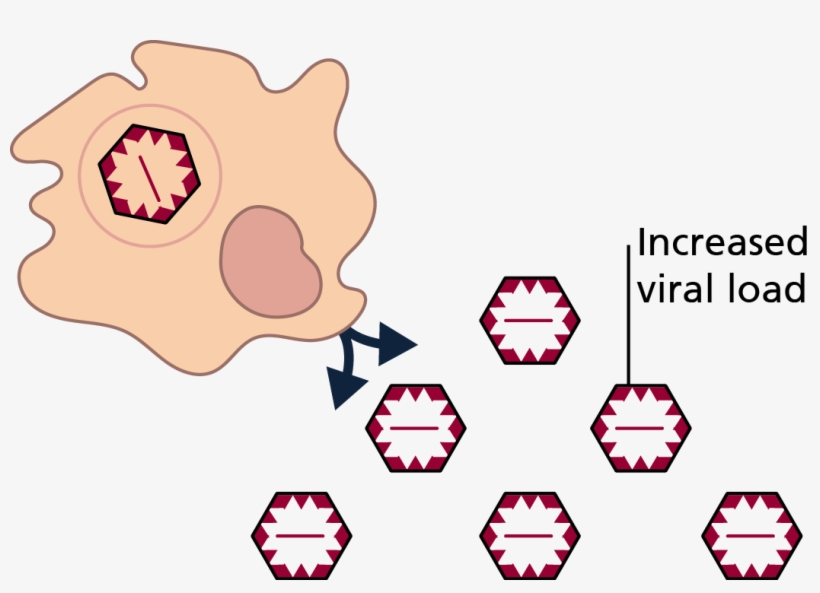 21 Pm 1411361 Den Imp 1/15/2016, transparent png #3340828