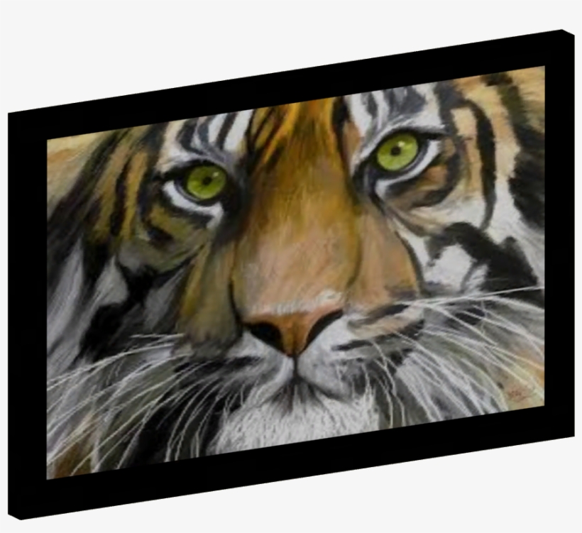 Asian Paintings 03 - Eye Of The Tiger, transparent png #3341111