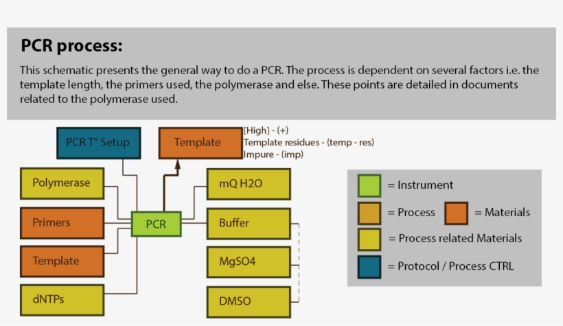 File - Pcr - Diagram, transparent png #3341112