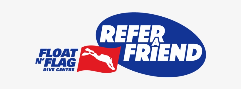 Float N' Flag Refer A Friend Program - Ducati, transparent png #3341375