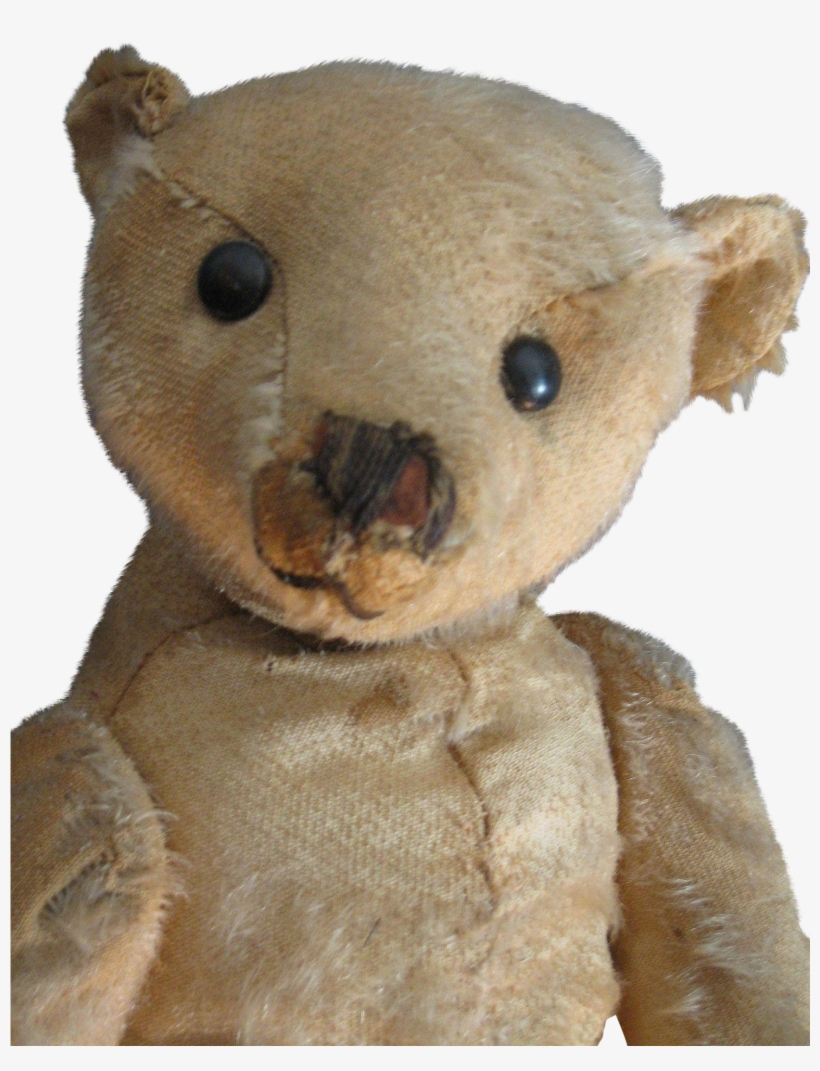 Antique 16 Beige Steiff Bear, Blank Button, Loved - Teddy Bear, transparent png #3342128