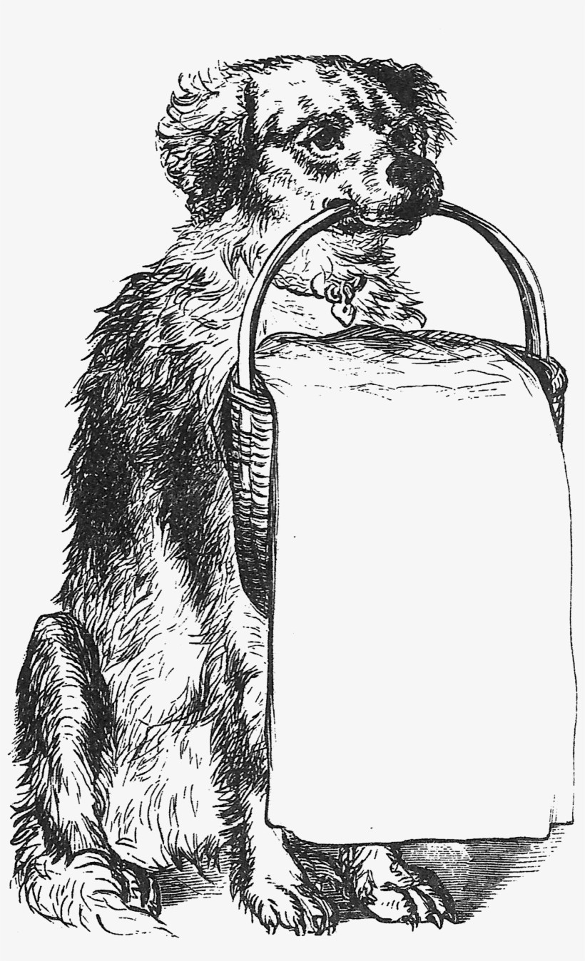 Victorian Banner Png Www Imgkid Com The Image Kid Has - Caution Dog Can't Hold His Licker Framed Giclee Texture, transparent png #3343246