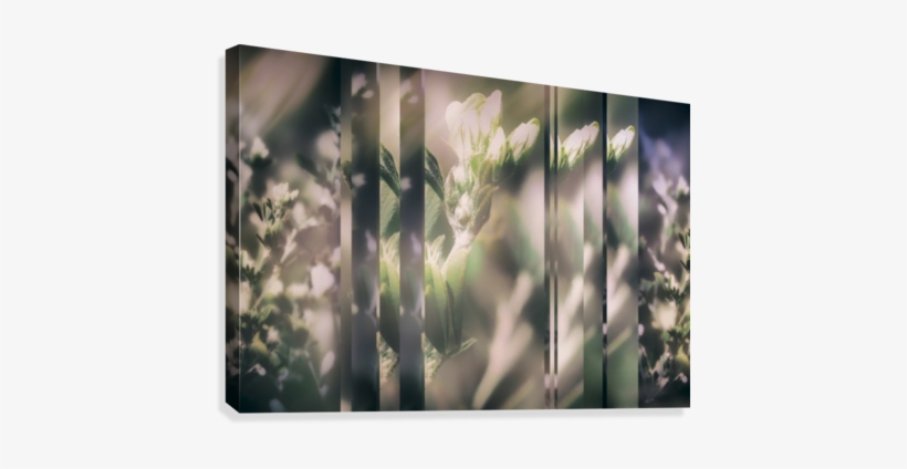 Wild Grass Collage Canvas Print - Artist, transparent png #3343992