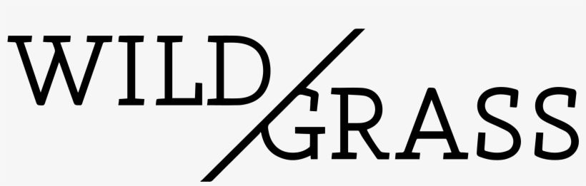 Cuisine Meet With Art - Global Wellness Day Logo, transparent png #3344048