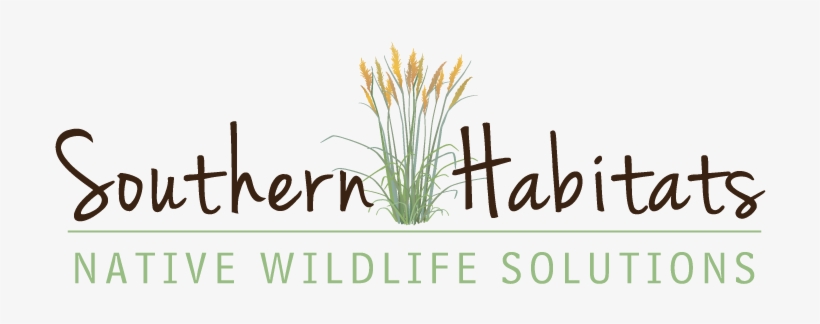 Southern Habitats, transparent png #3344395