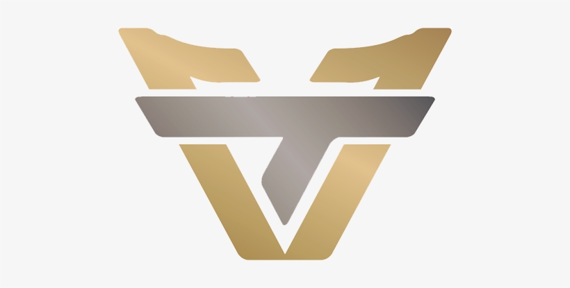 Team One Secure Visas To Attend Minor - Team One Csgo, transparent png #3344660