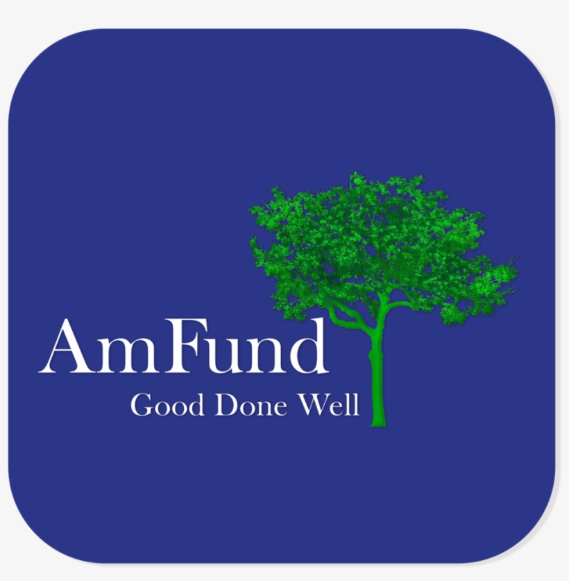 Amfund Logo Build Blue Background 2017 - American Fundraising Foundation (amfund), transparent png #3345020