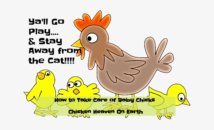 If You Do Not Have A Mother Hen To Hatch And Raise - Infant, transparent png #3345494