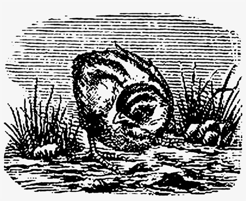 Carolyn Iott On Twitter - Illustration, transparent png #3345799