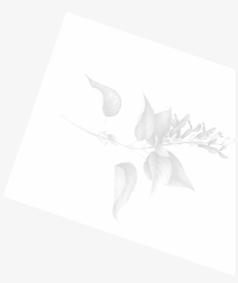 Push10 Enliven Push10 Enliven Modernize - Illustration, transparent png #3345991