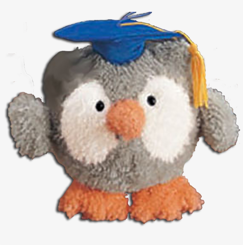 Gund Graduation Musical Plush Gray Owl Wearing Blue - Graduation Ceremony, transparent png #3346266