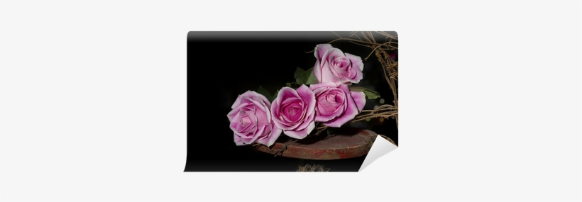 Photograph, transparent png #3347696