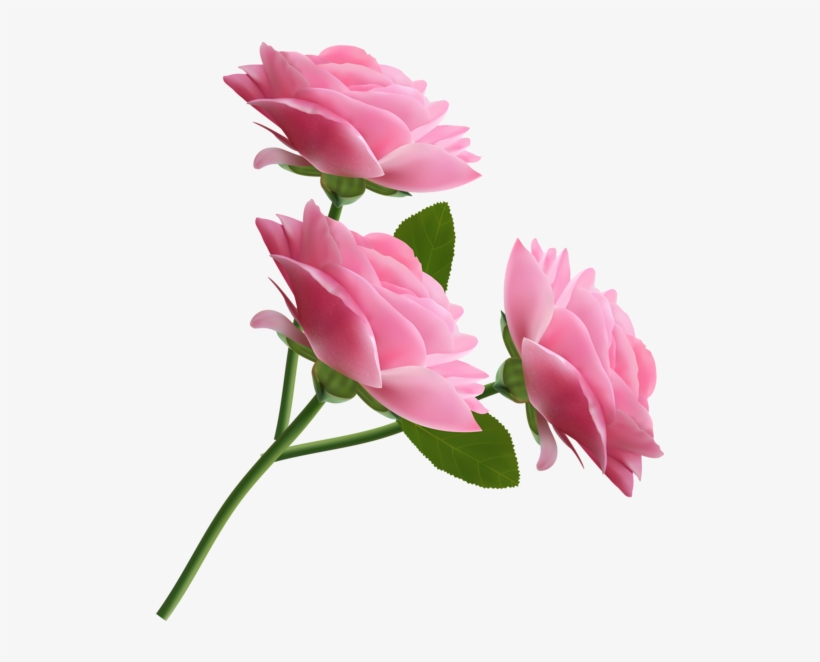 Pink Rose Clipart Transparent Png - Flower Icons, transparent png #3347790
