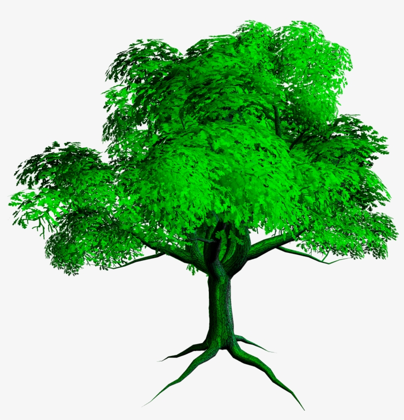 New Tree Png - Tree Full Hd Png, transparent png #3348249