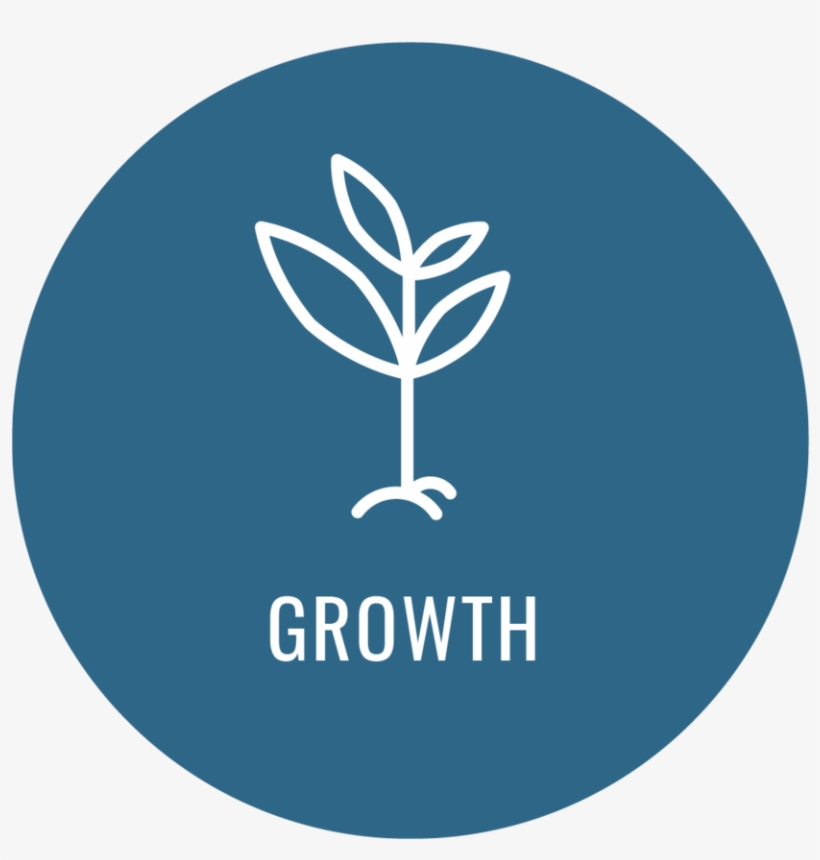 Growth Icon - Ville De Saint Etienne, transparent png #3350935
