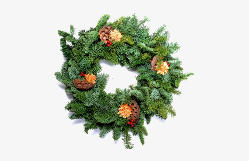 Christmas At Frank And Sal - Wall, transparent png #3353367