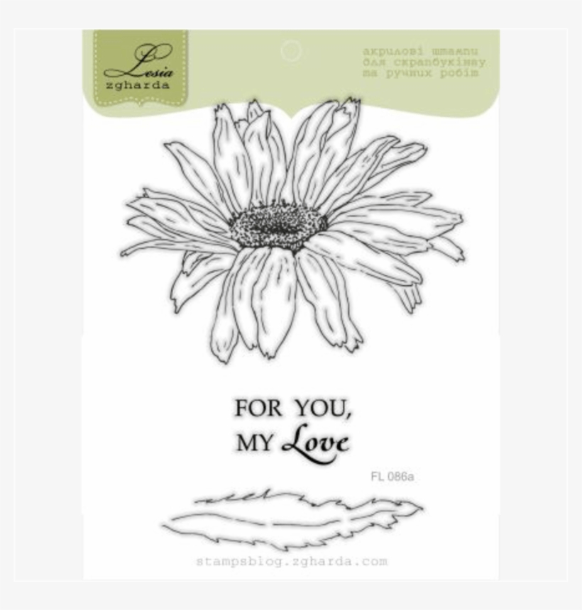{fl086a} Stamp Set "chamomile Large" - Chamomile, transparent png #3355744