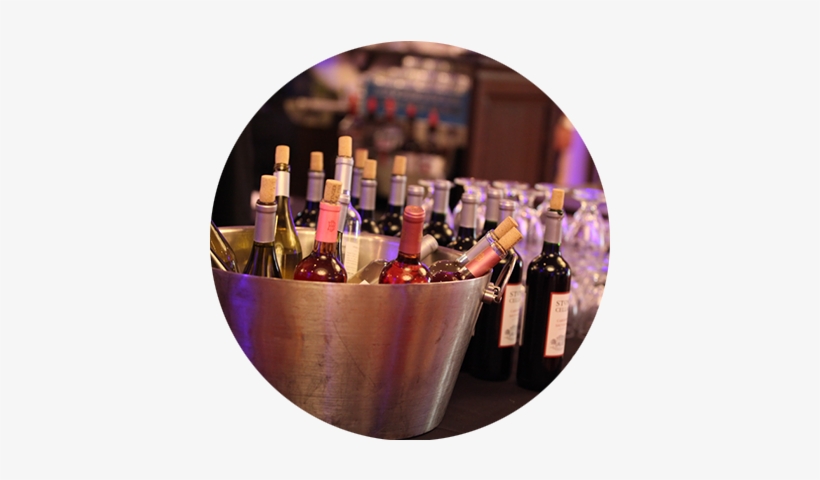 Network - Champagne, transparent png #3356414